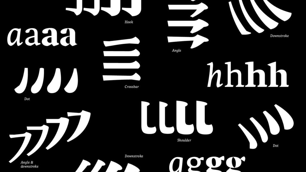 Whit on black graphic showing different examples of typefaces