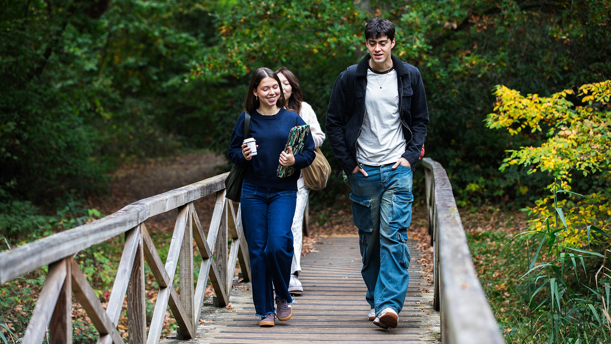 Four friends walking to class