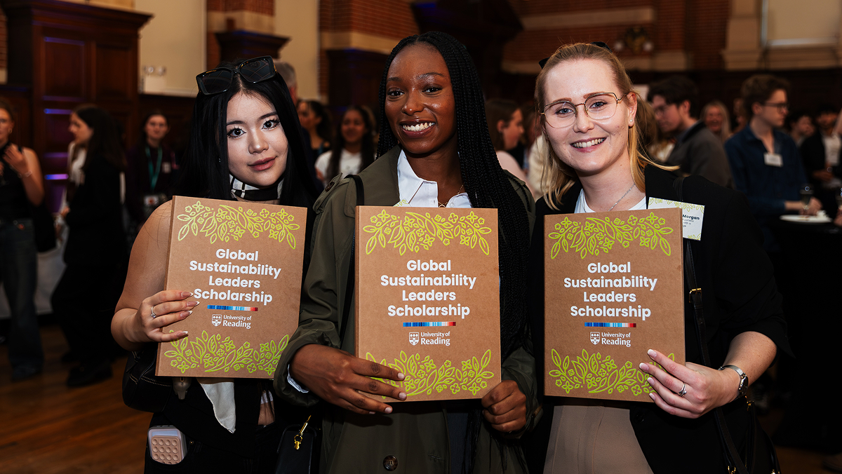 Climate Stripes by Professor Ed Hawkins
